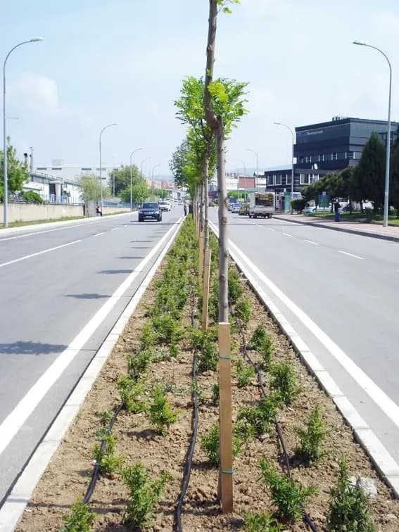 Su ve Altyapı — 10