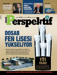 Perspektif Sayı 45