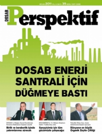 Perspektif Sayı 35