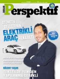 Perspektif Sayı 31