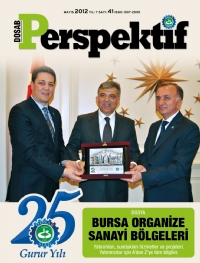 Perspektif Sayı 41