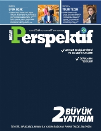 Perspektif Sayı 67