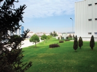 DOSAB Green Area8