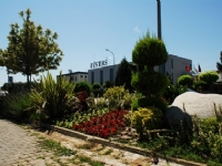 DOSAB Green Area11