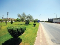 DOSAB Green Area13