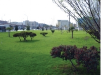 DOSAB Green Area14