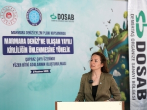 aysegul akpinar